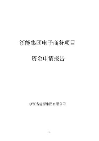 浙江能源集团电子商务平台项目资金申请报告