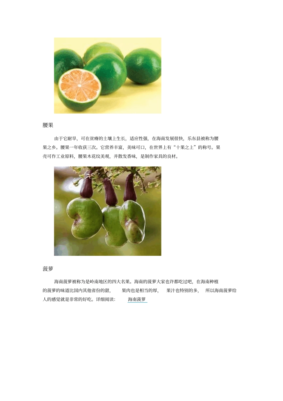海南热带水果有哪些汇总_第2页