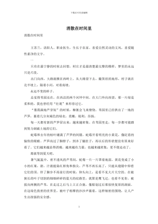 消散在时光里
