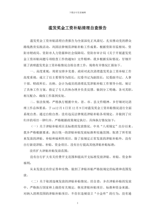 滥发奖金工资补贴清理自查报告