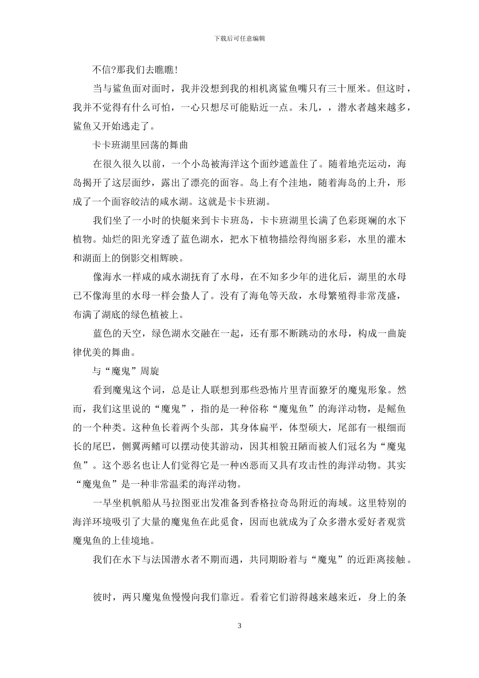 潜水者的天堂_第3页