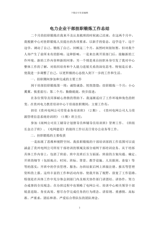 电力企业干部挂职锻炼工作总结