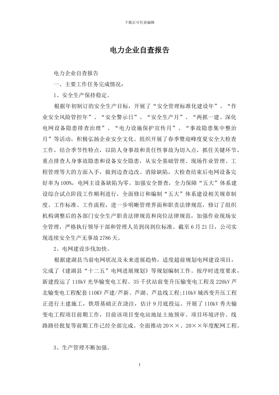 电力企业自查报告_第1页