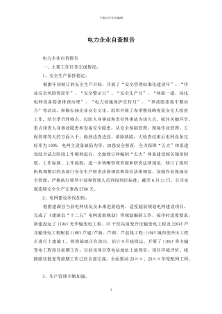 电力企业自查报告