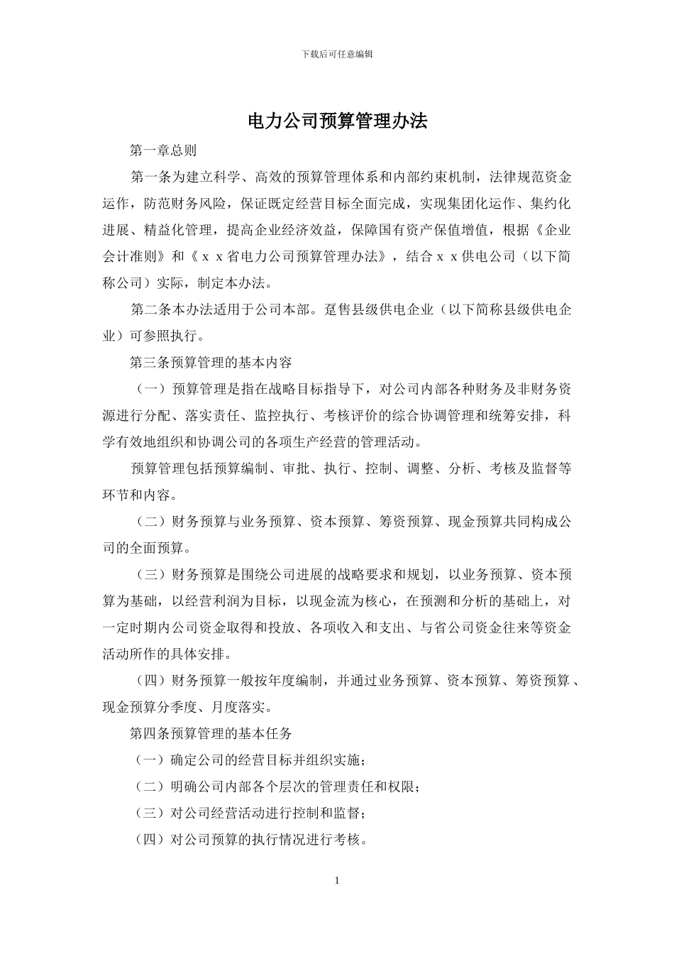 电力公司预算管理办法_第1页