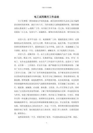 电工试用期月工作总结