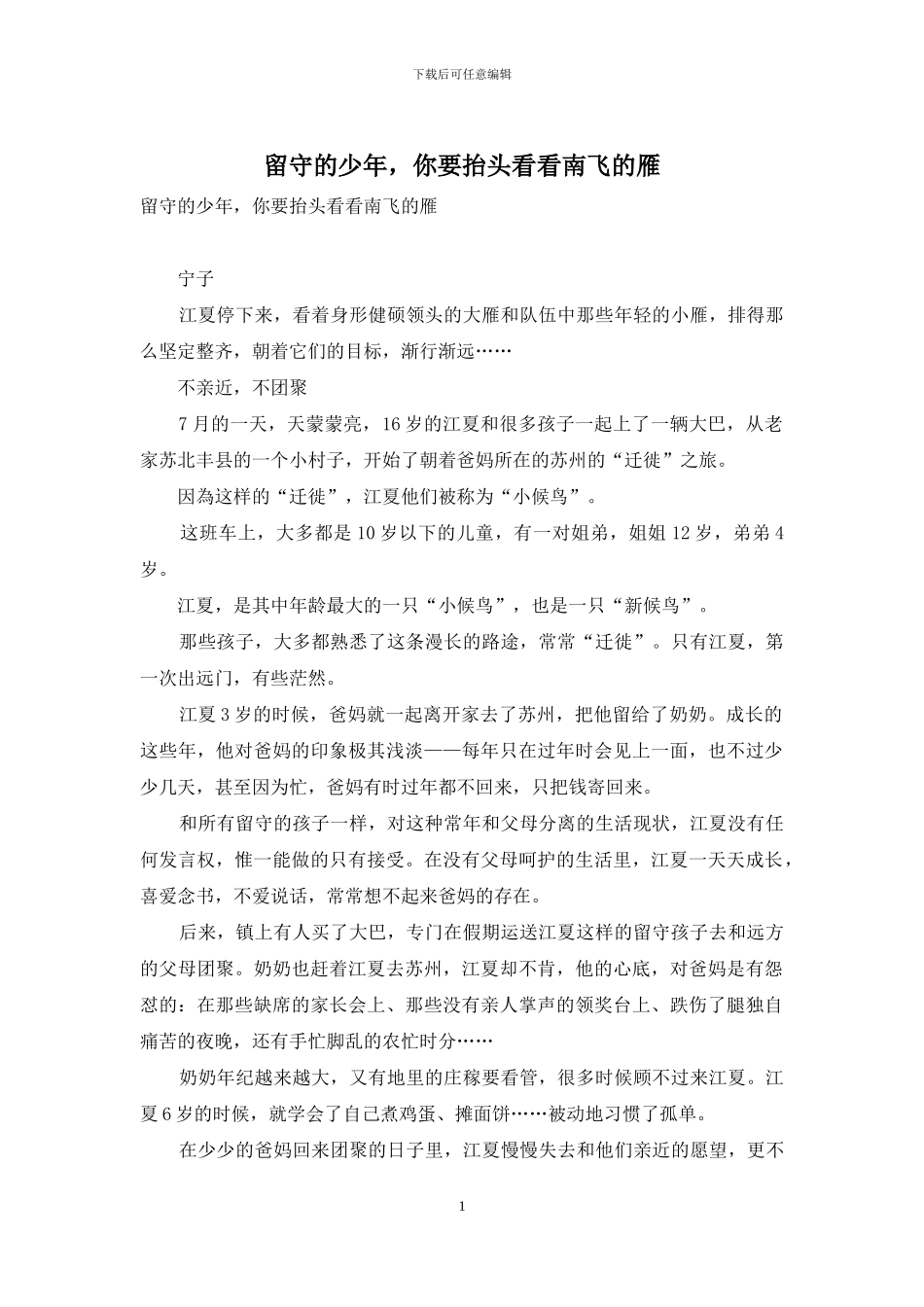 留守的少年-你要抬头看看南飞的雁_第1页