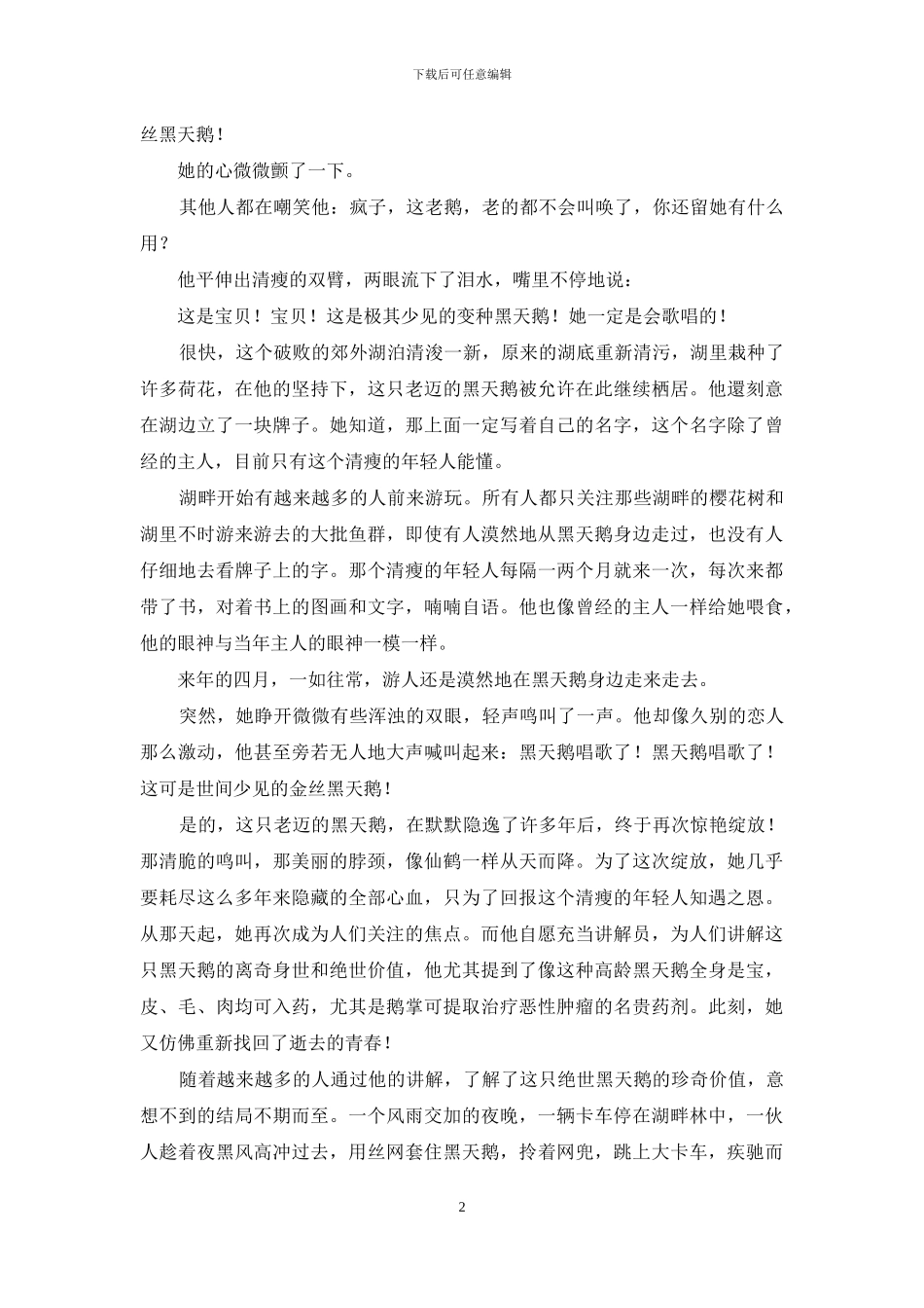 神奇的黑天鹅_第2页
