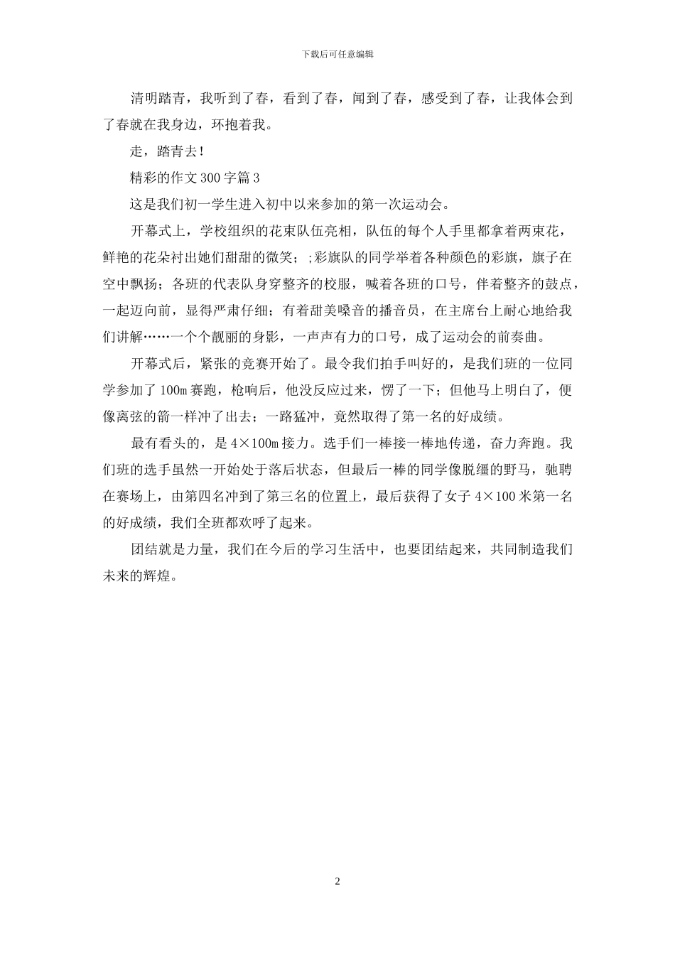 精彩的作文300字三篇_第2页