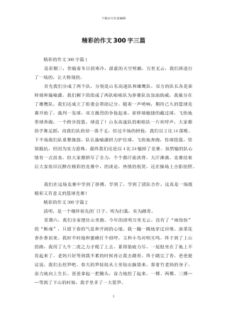 精彩的作文300字三篇