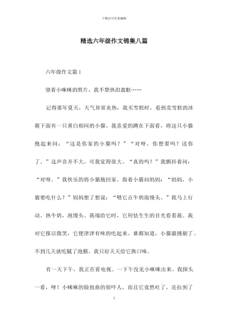 精选六年级作文锦集八篇