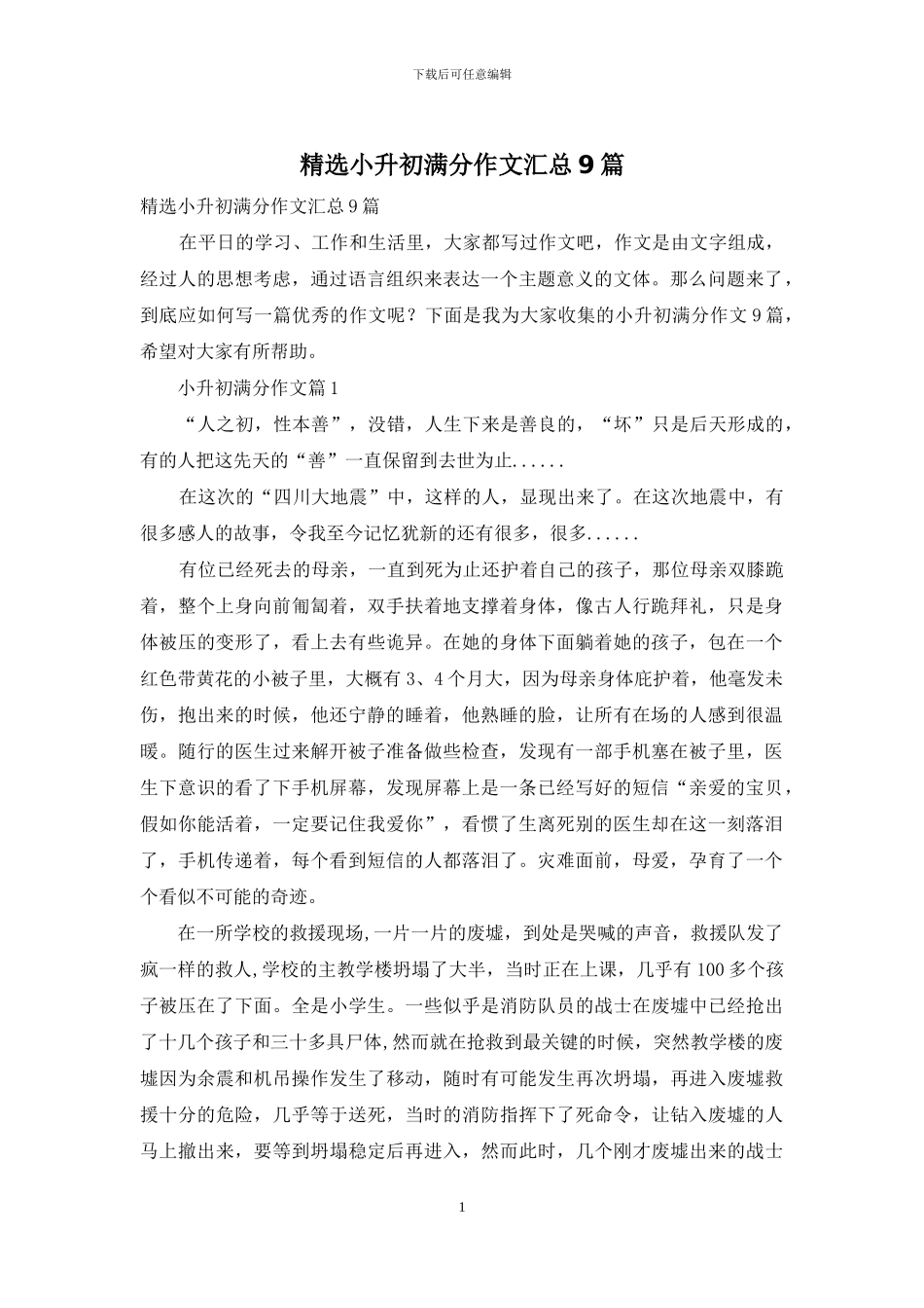 精选小升初满分作文汇总9篇_第1页