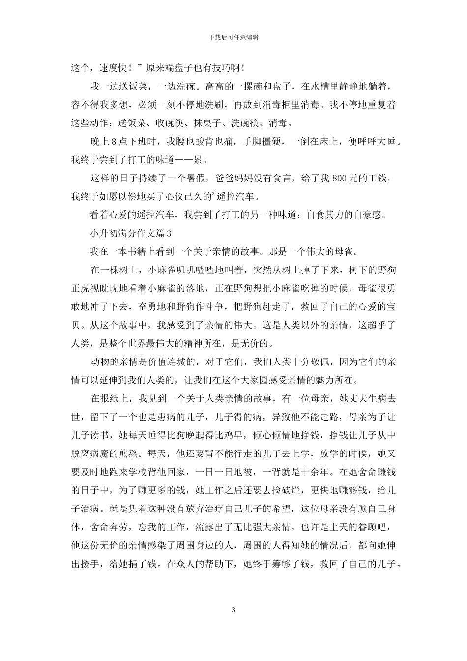 精选小升初满分作文汇总9篇_第3页
