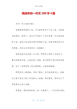 精选年初一作文300字4篇