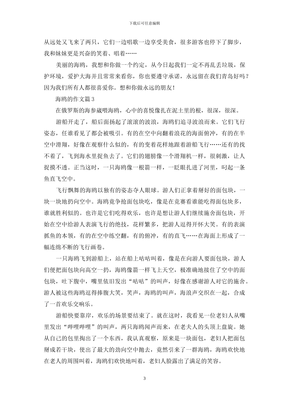 精选海鸥的作文三篇_第3页