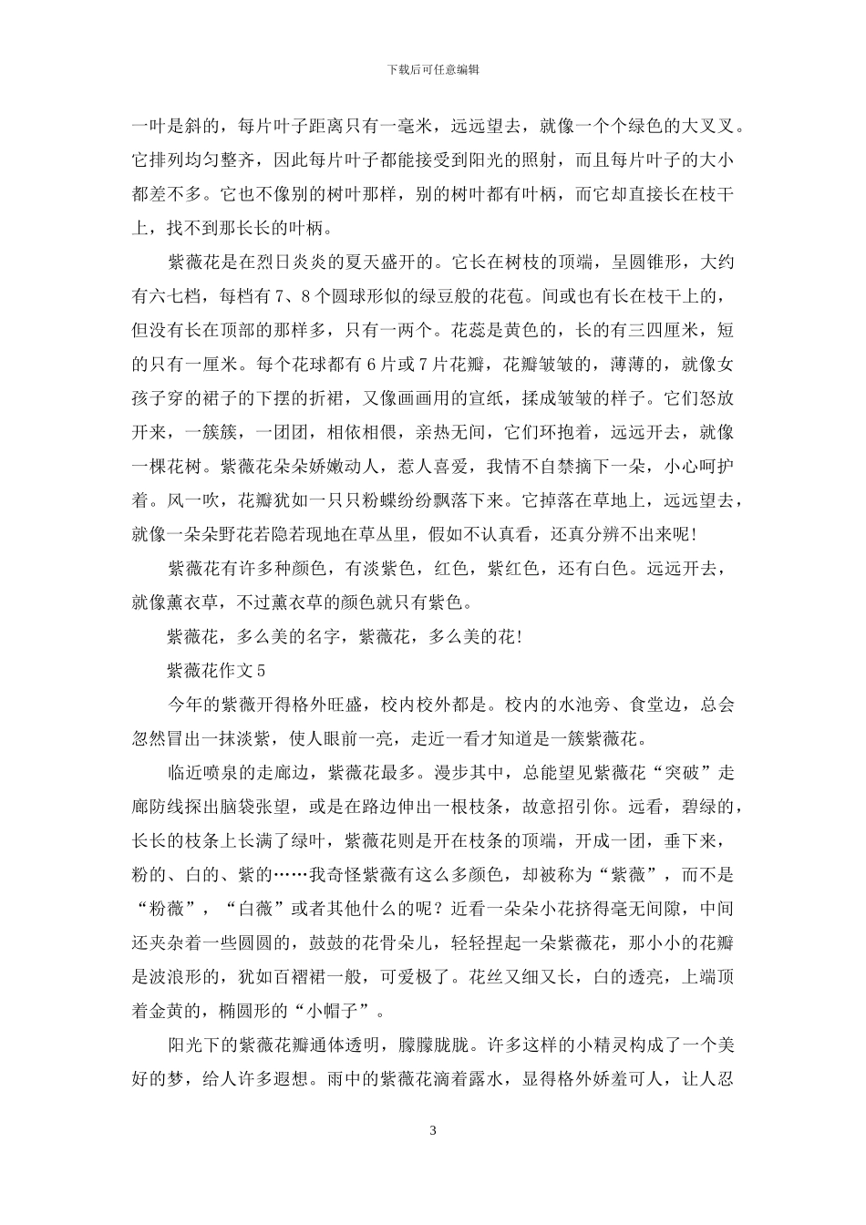 紫薇花作文15篇_第3页