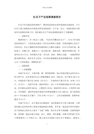 红瓜子产业发展调查报告