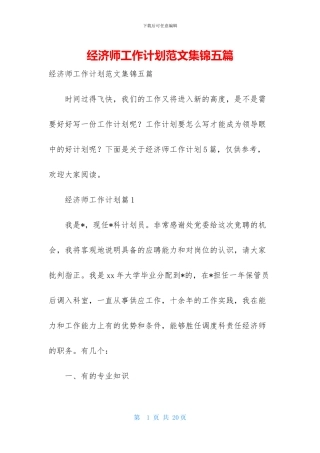 经济师工作计划范文集锦五篇