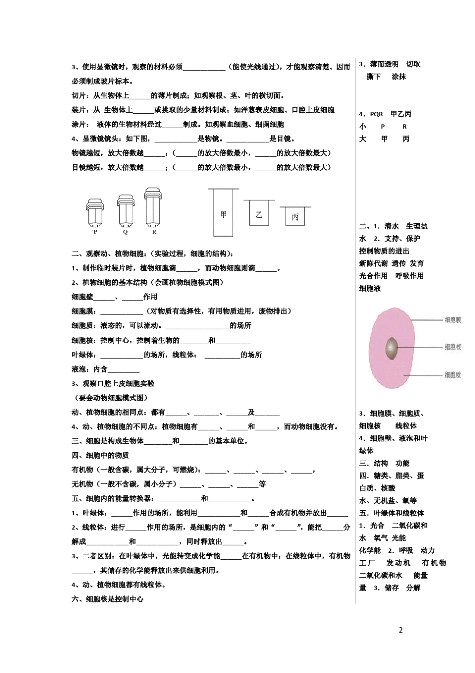 人教版七年级生物上册复习提纲填空版_第2页