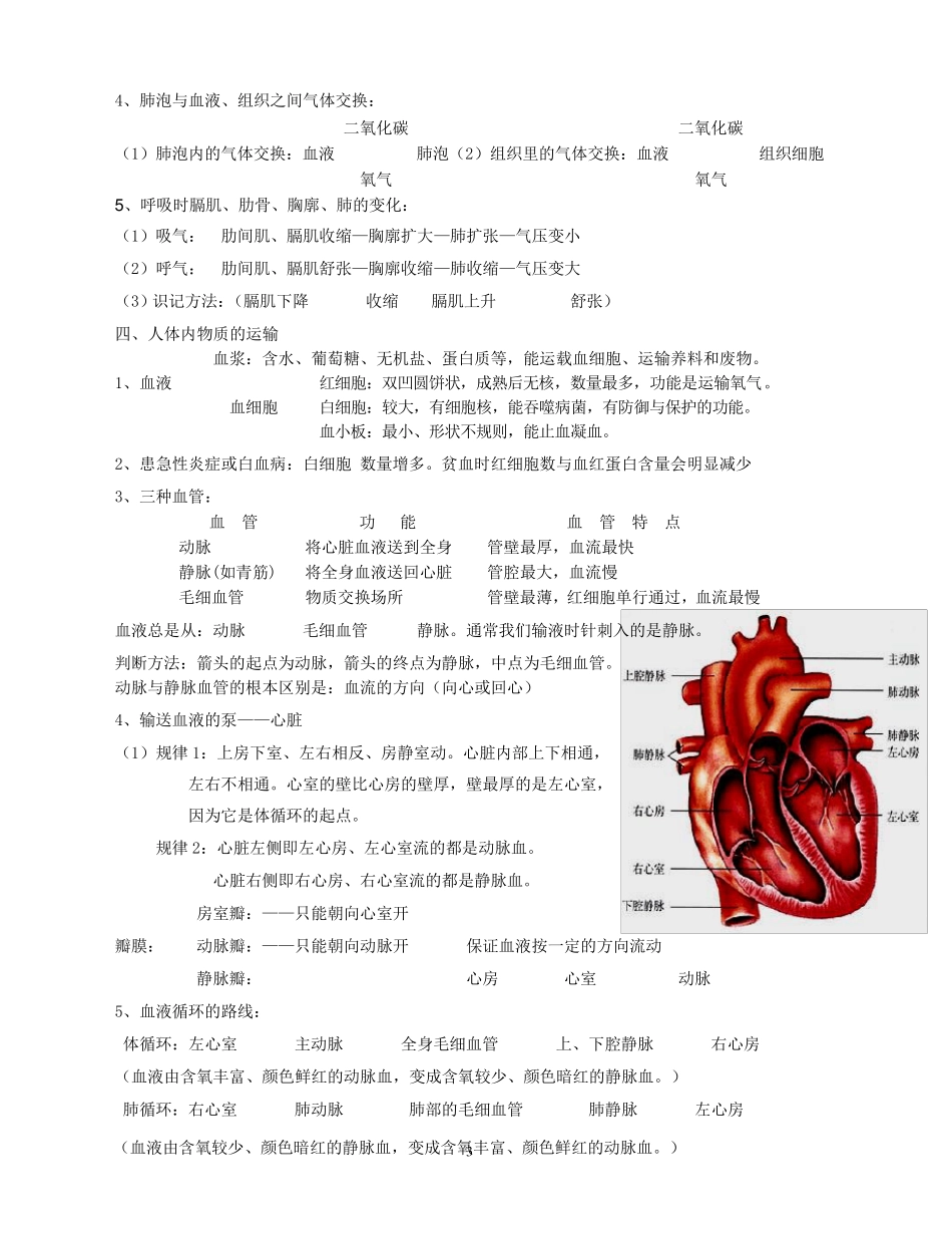 人教版七年级生物下册复习提纲_第3页