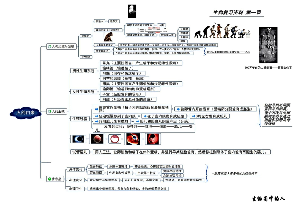 人教版七年级生物下册复习资料思维导图_第1页