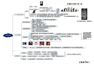 人教版七年级生物下册复习资料思维导图