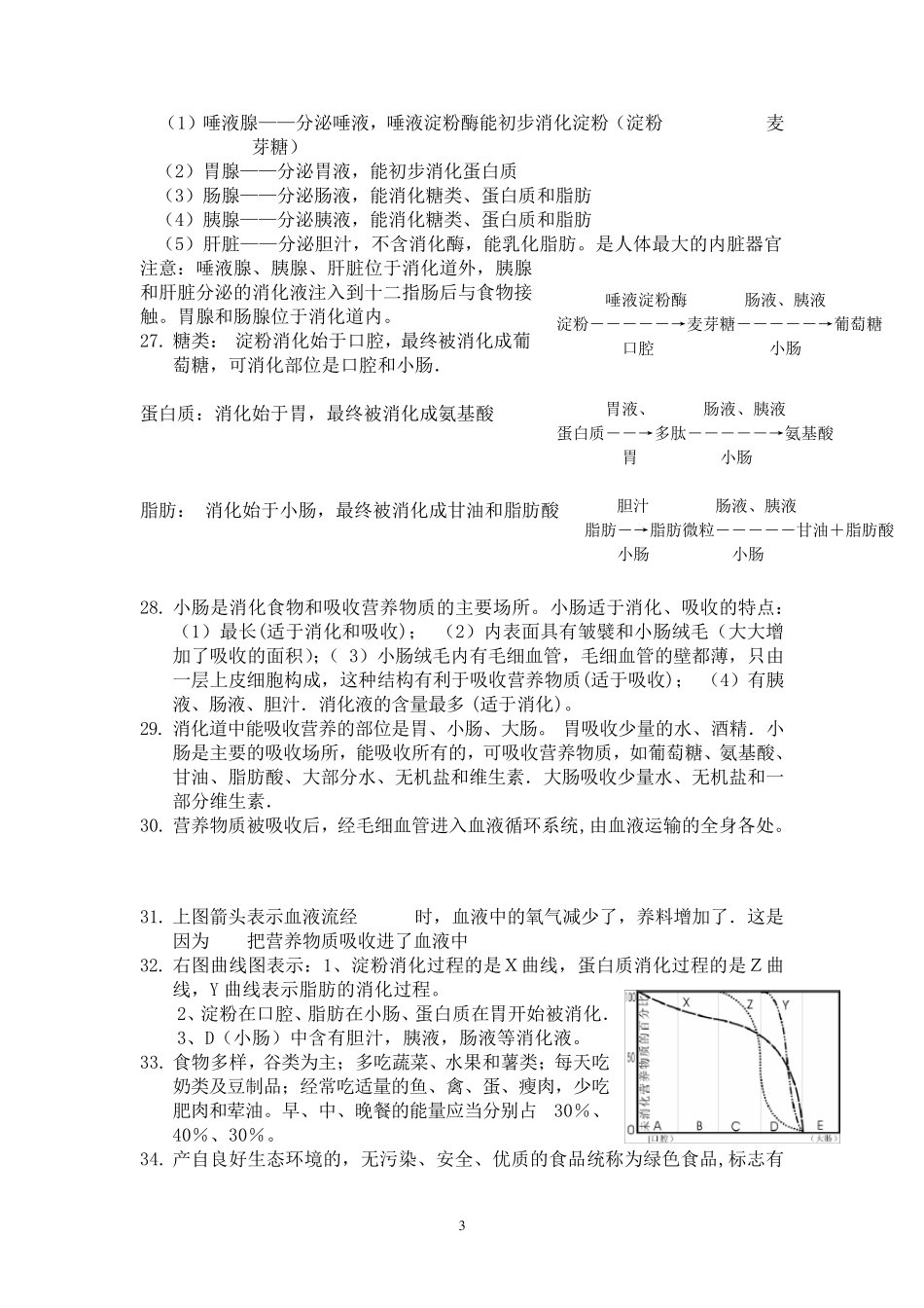人教版七年级生物下册笔记_第3页