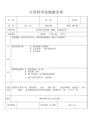 人教版三年级上科学实验报告