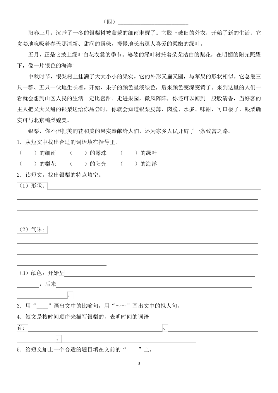 人教版三年级语文上册阅读理解专项练习有答案_第3页