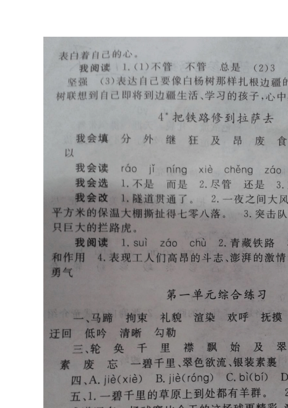 人教版五年级下册语文配套练习册答案(照片)_第2页