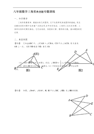 人教版八年级数学上册三角形典型题专题训练