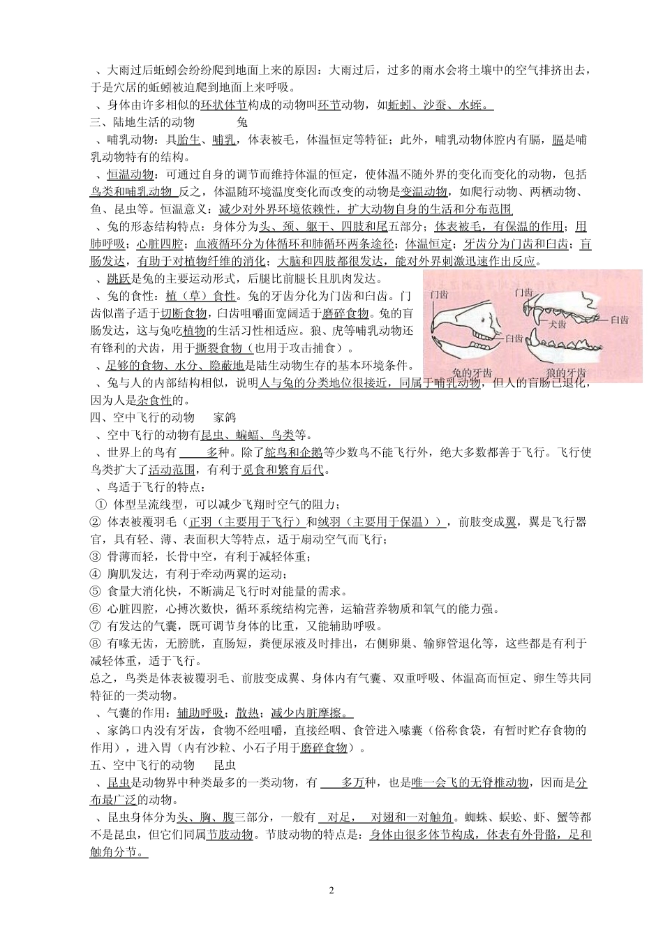 人教版八年级生物上册复习资料_第2页