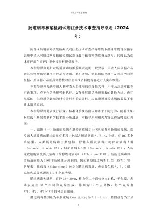 肠道病毒核酸检测试剂注册技术审查指导原则