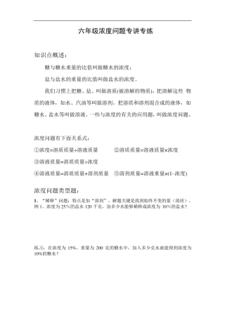 人教版六年级数学浓度问题精讲专练