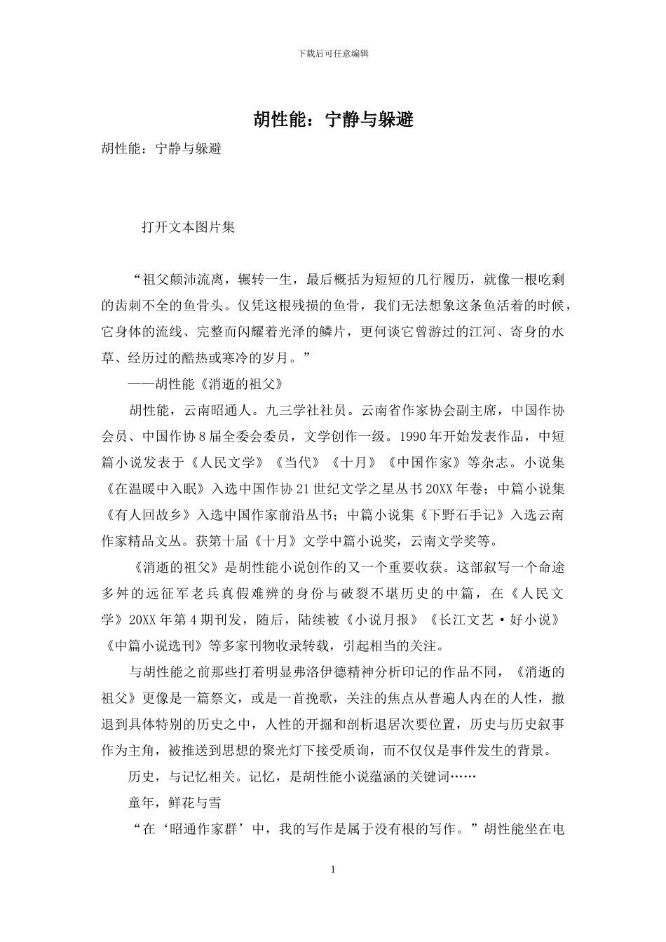 胡性能：安静与逃避_第1页