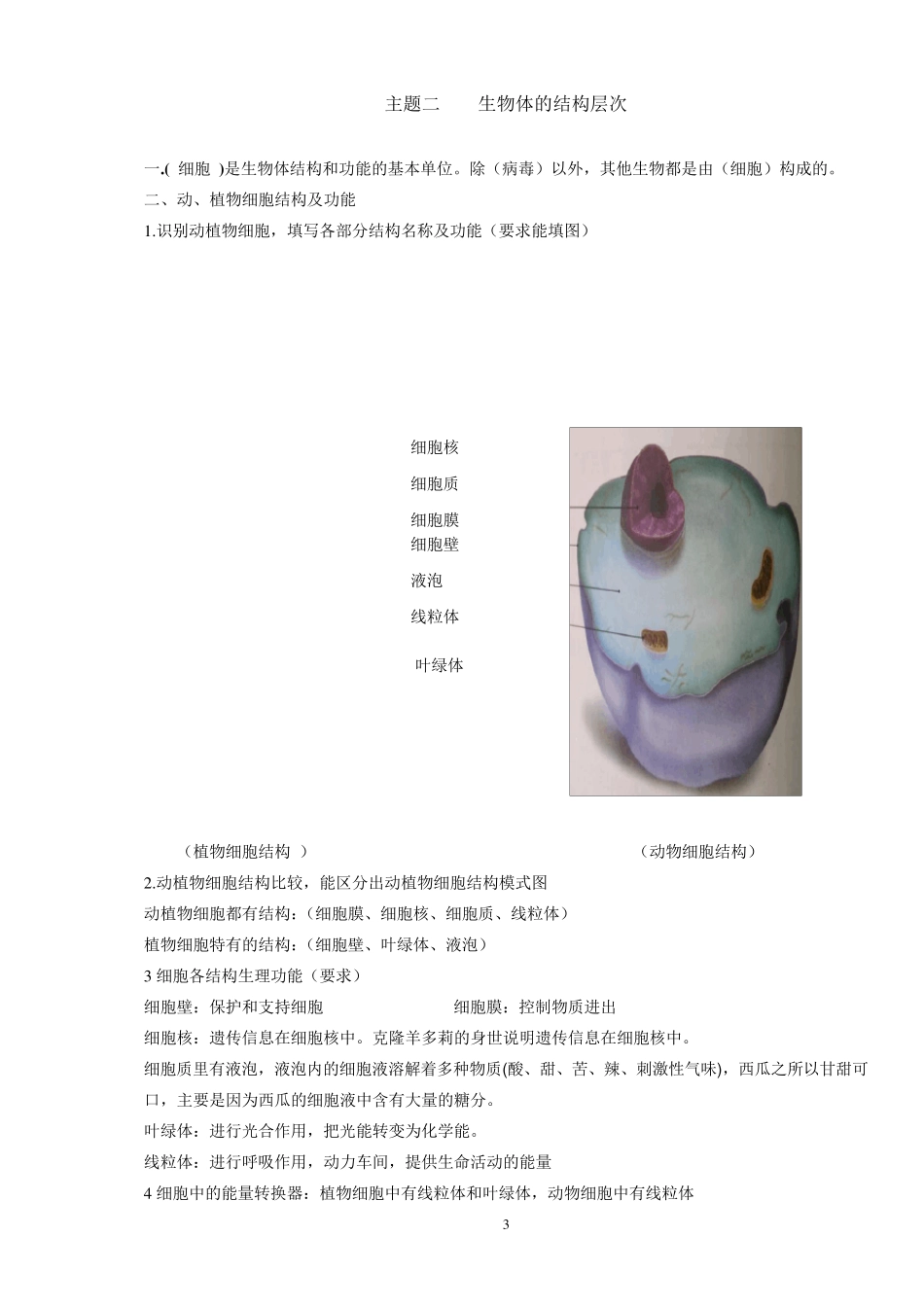 人教版初中生物知识点归纳总结_第3页