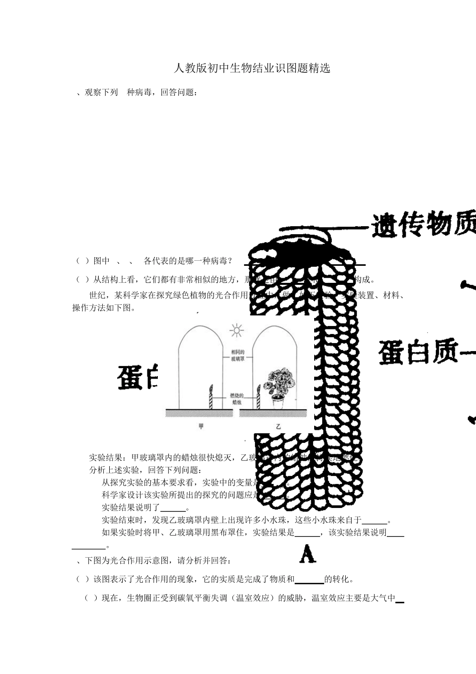 人教版初中生物识图专题_第1页