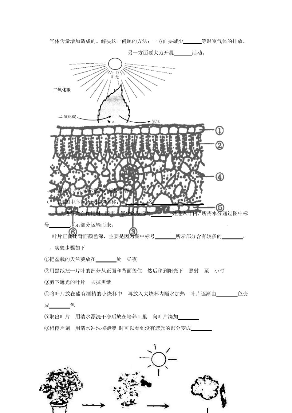 人教版初中生物识图专题_第2页
