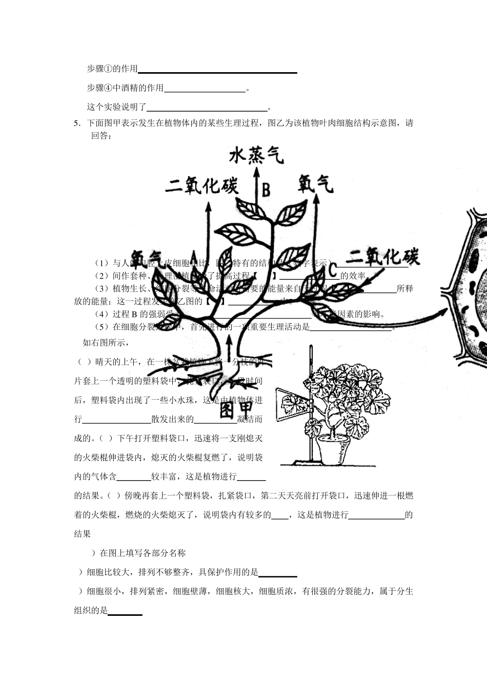 人教版初中生物识图专题_第3页