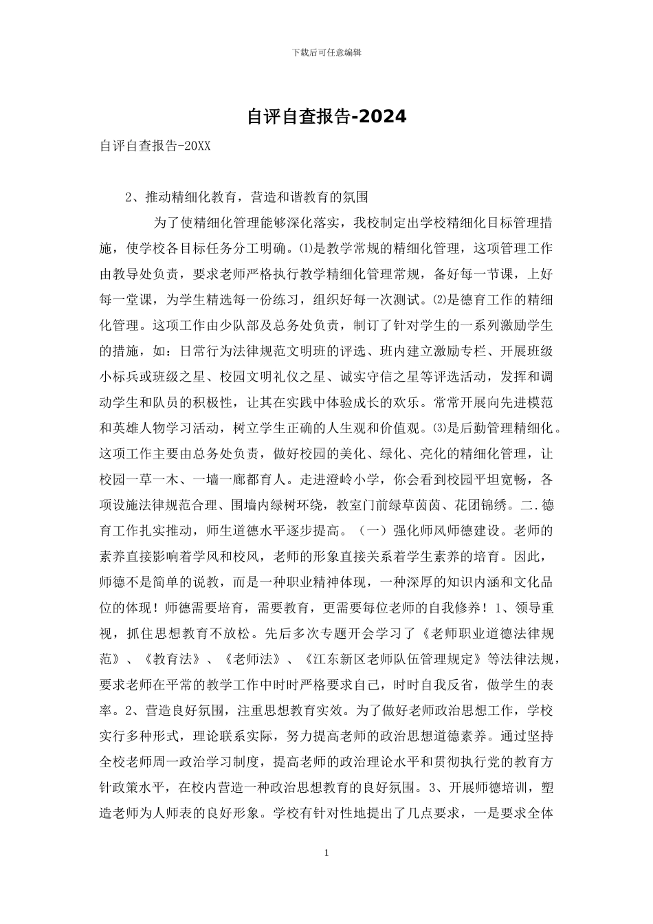 自评自查报告-2024_第1页