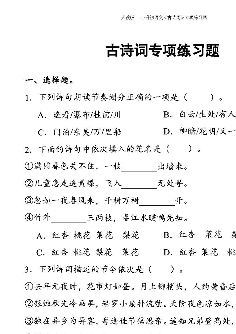 人教版小升初语文基础部分专项练习题及答案_第1页