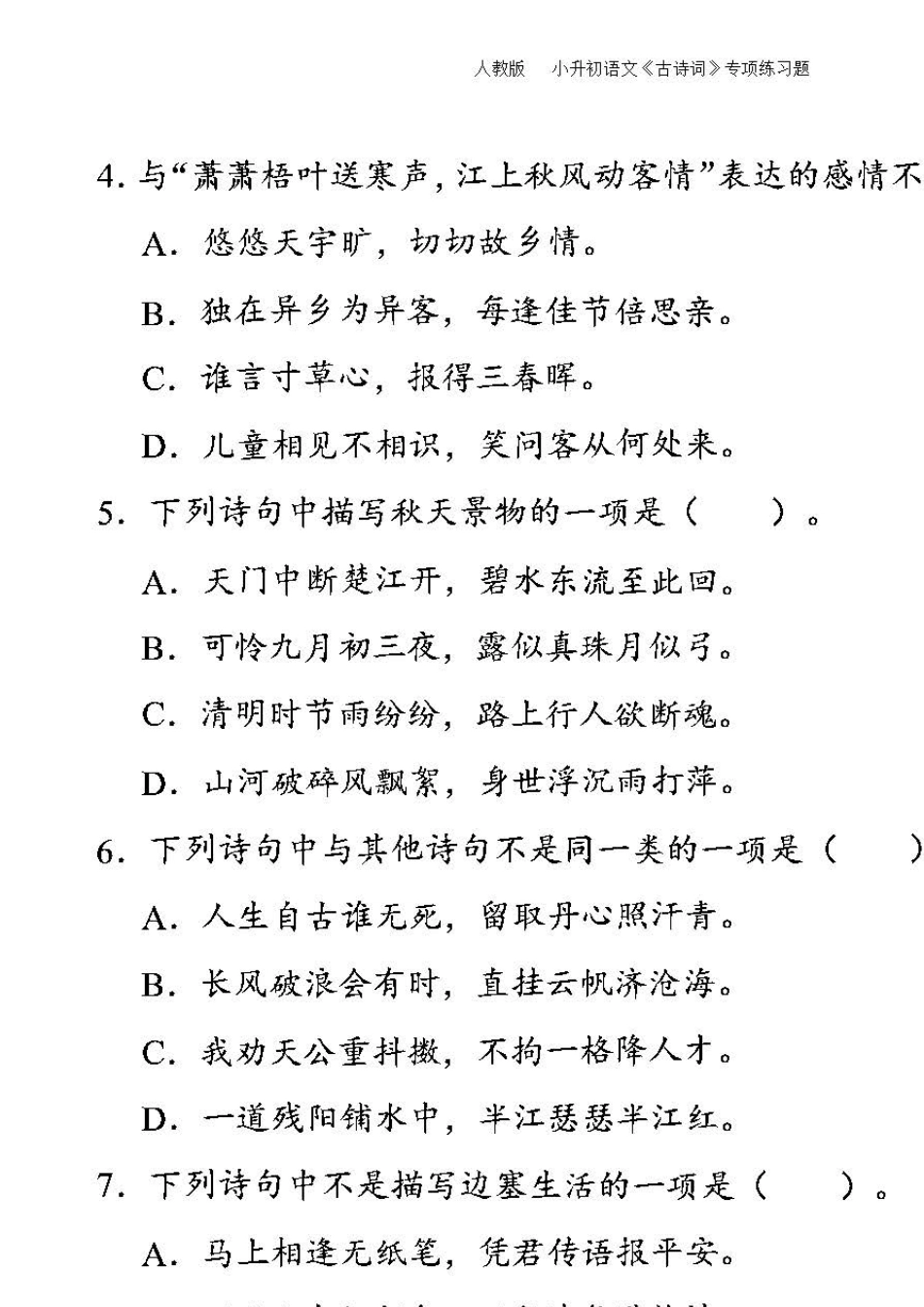 人教版小升初语文基础部分专项练习题及答案_第2页