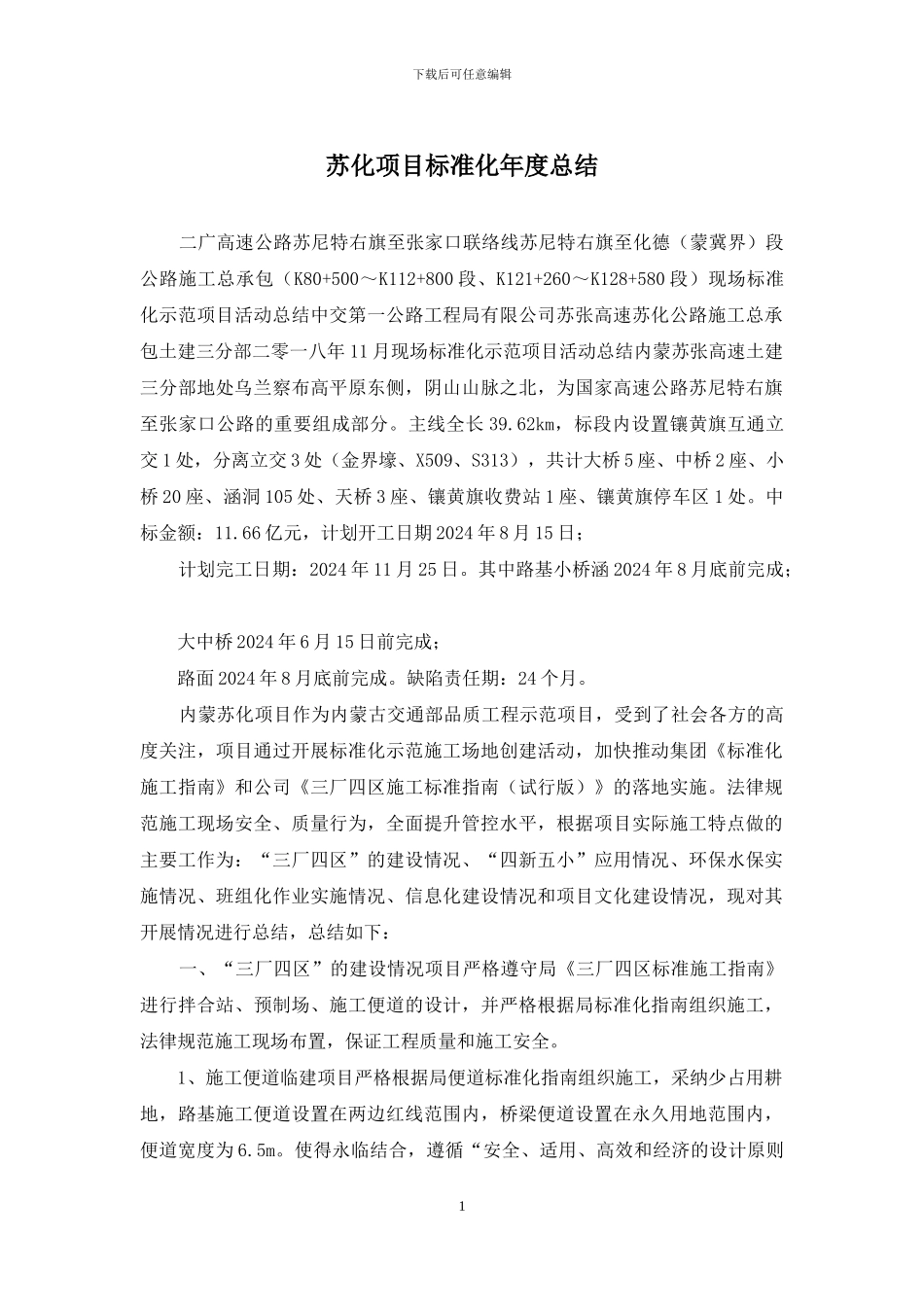 苏化项目标准化年度总结_第1页