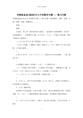 苏教版备战2024年小升初数学专题一：数与代数