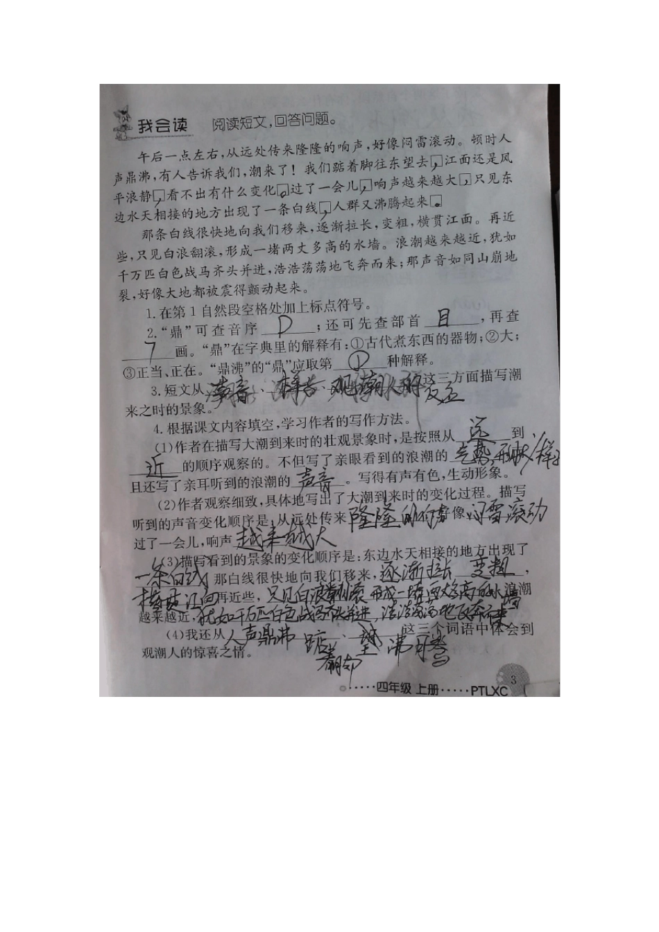 人教版小学四年级语文上学期配套练习册答案_第3页