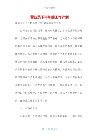 营业员下半年的工作计划