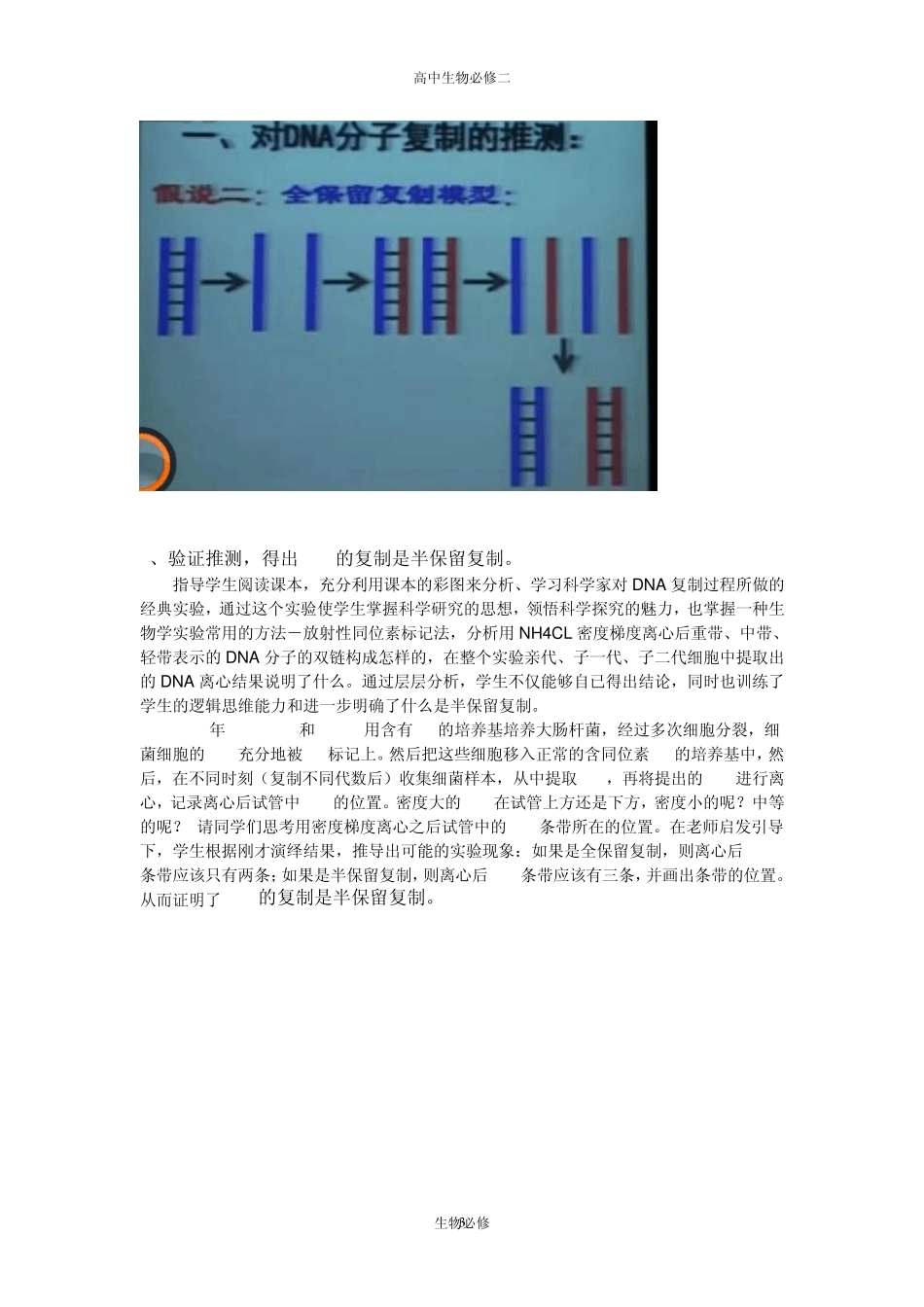 人教版教学教案DNA的复制的说课稿_第3页