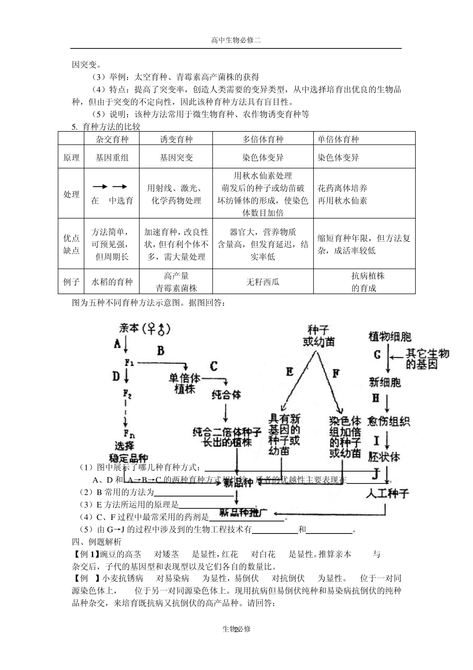 人教版教学教案第19课从杂交育种到基因工程_第2页