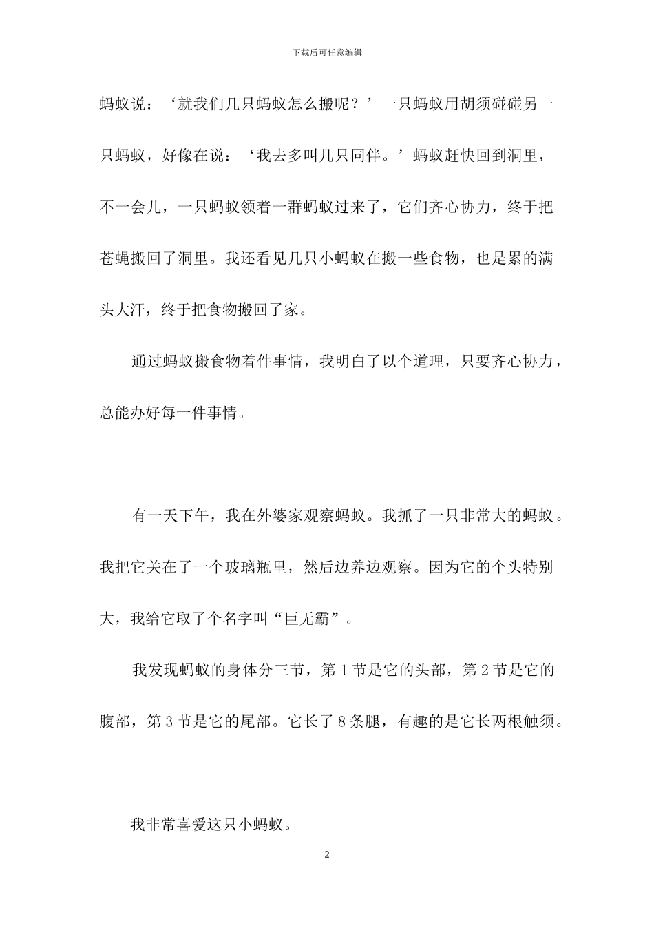 蚂蚁的观察日记_第2页