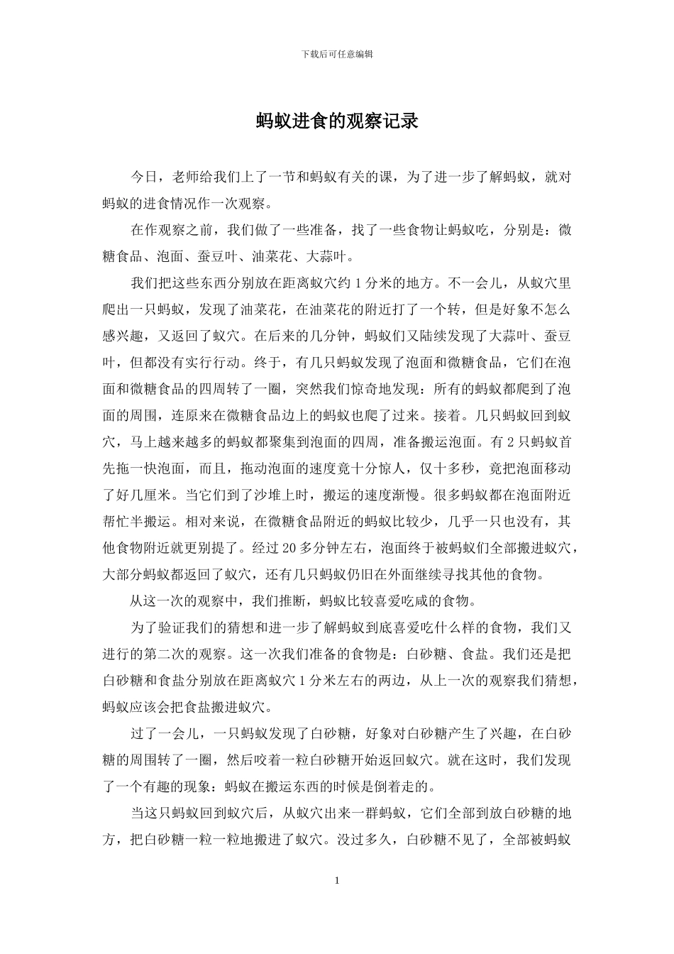 蚂蚁进食的观察记录_第1页